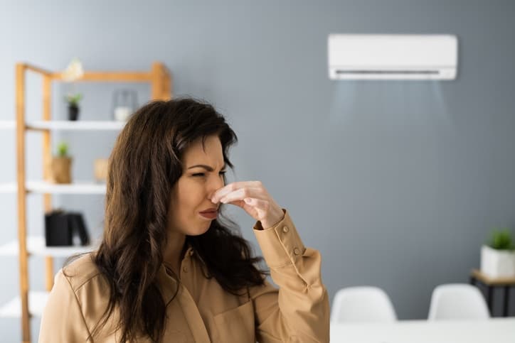 Causes of a Heat Pump Smelling